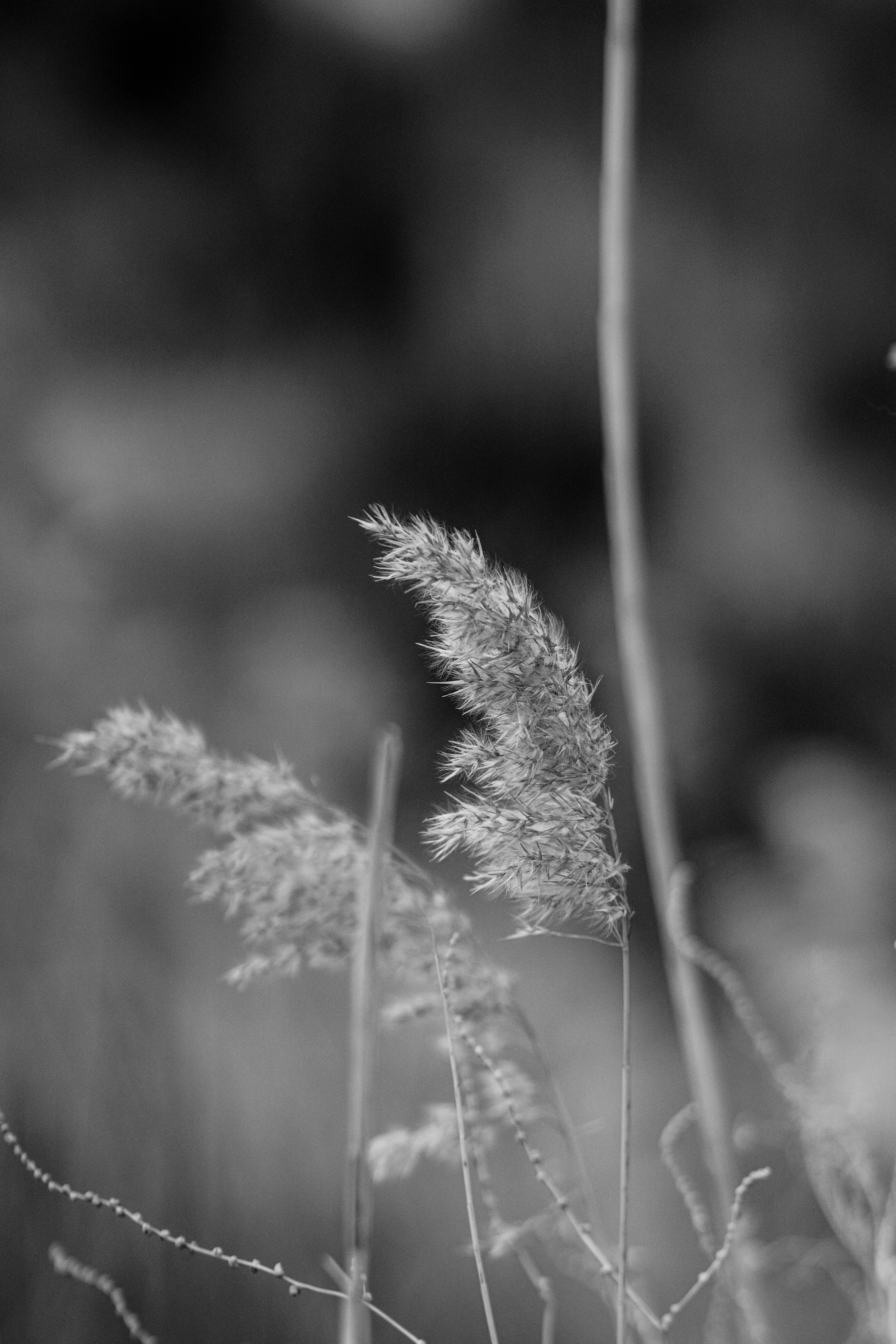 Dijital reklamcılık görseli